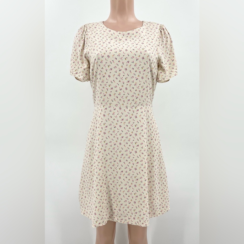 Madewell Cream Floral Dutch Dandelions Tie-Sleeve Retro Mini Dress Size 2